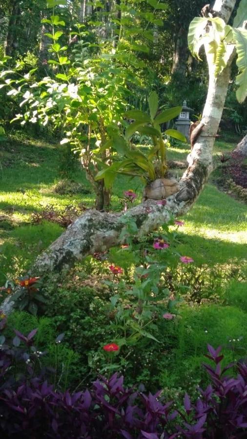 Balian Bliss Retreat Resort - Adults Only Buitenkant foto