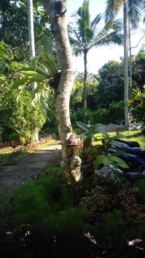 Balian Bliss Retreat Resort - Adults Only Buitenkant foto