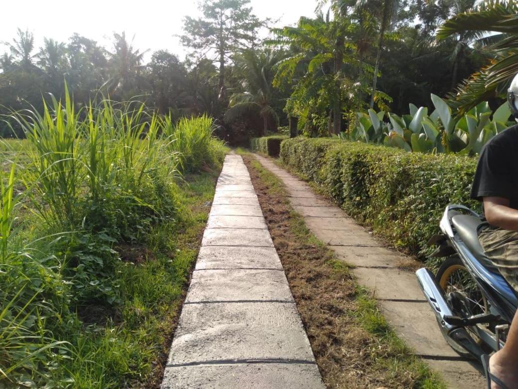 Balian Bliss Retreat Resort - Adults Only Buitenkant foto