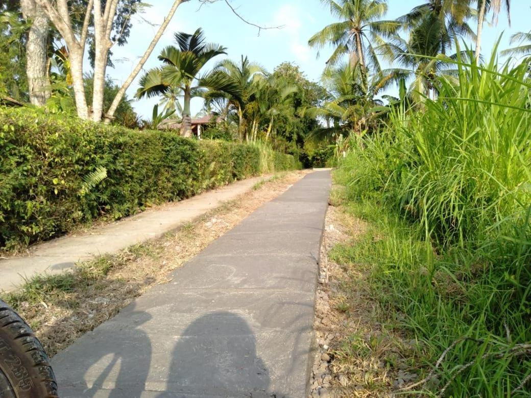 Balian Bliss Retreat Resort - Adults Only Buitenkant foto
