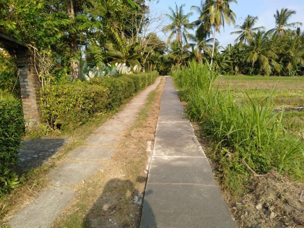 Balian Bliss Retreat Resort - Adults Only Buitenkant foto